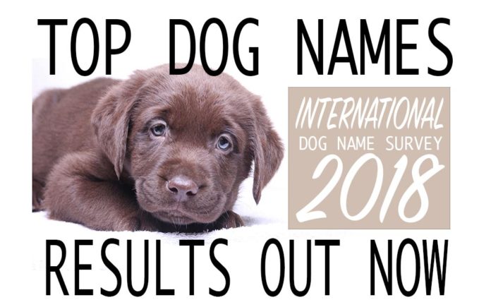 Dog Names - The Top Dog Names In 2021 - Hundreds Of Awesome Ideas