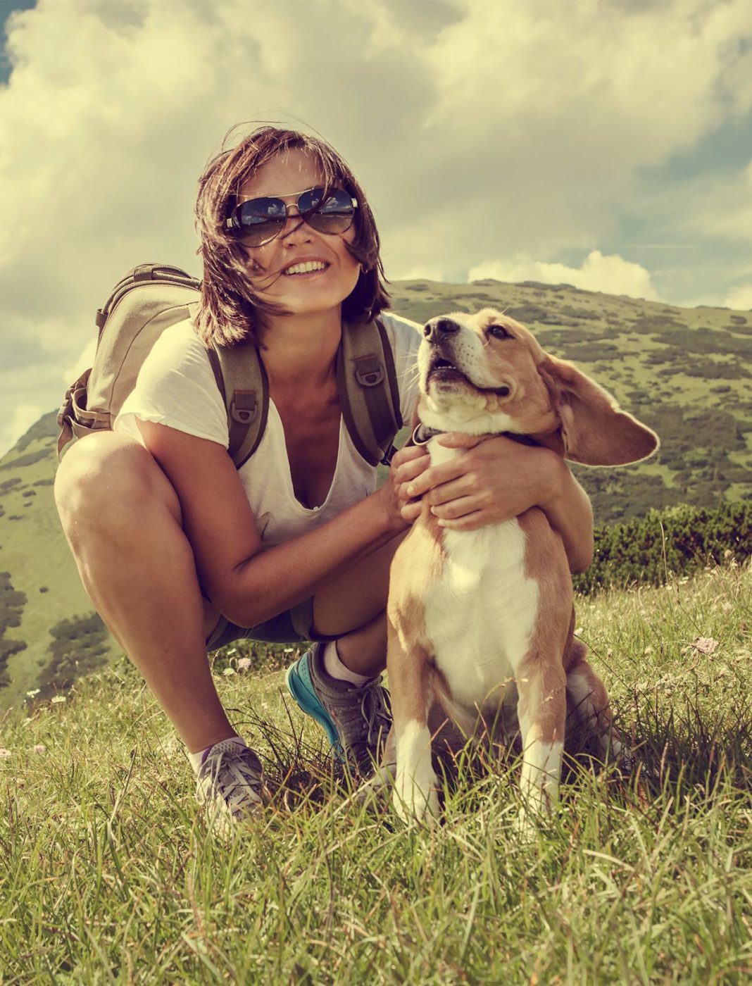 beagle hiking