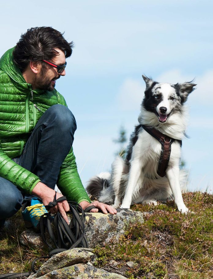 dogs that are good for hiking