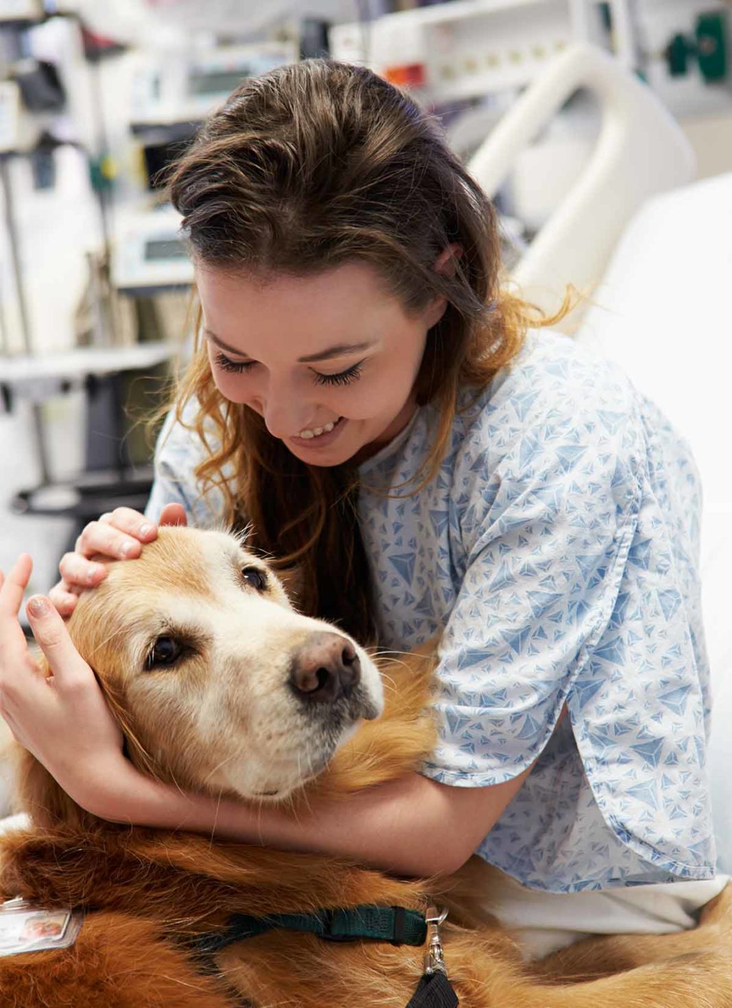 can-dogs-smell-cancer-what-your-dog-s-nose-is-telling-them