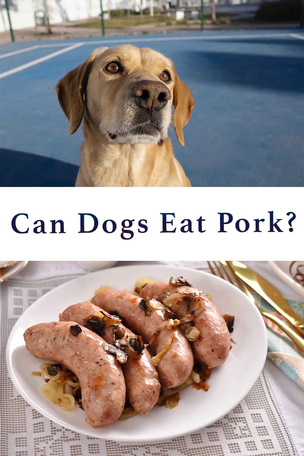 can u give a dog pork rib bones