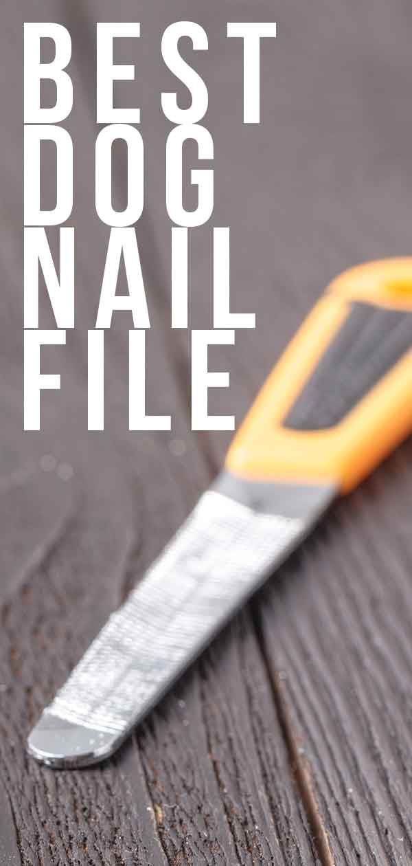 Best Dog Nail File to Keep Your Dog's 