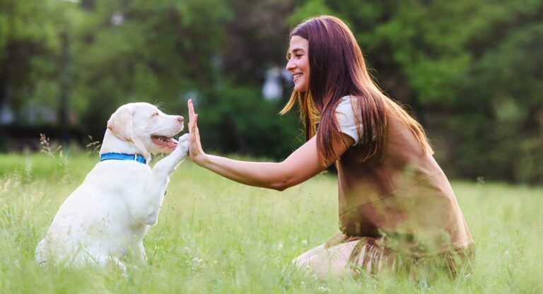 how long does it take to train a dog