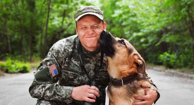 military dog names