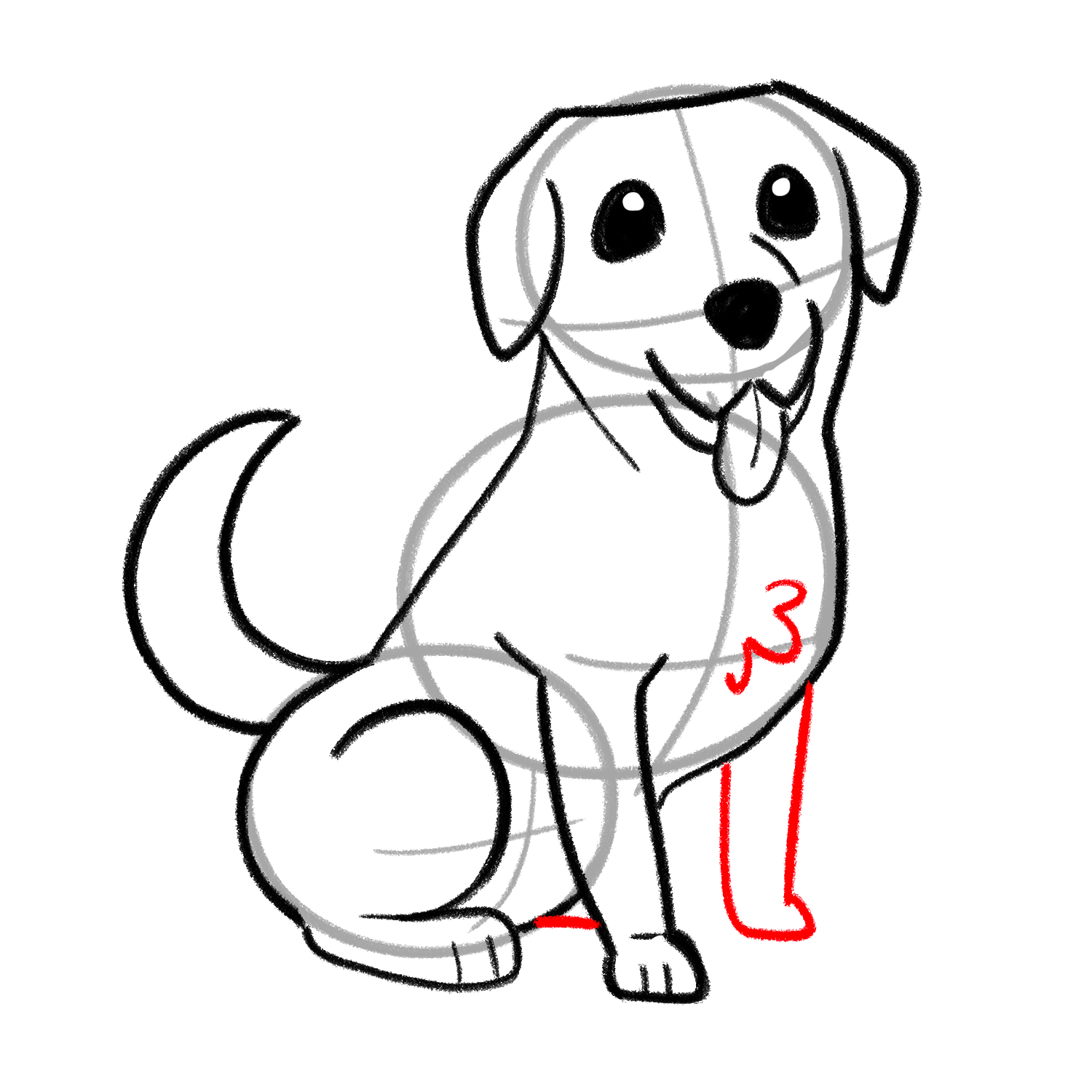 How to draw a Labrador step 05