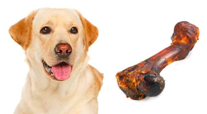 Smoked Bones For Dogs Are Smoked Bones Safe For Dogs