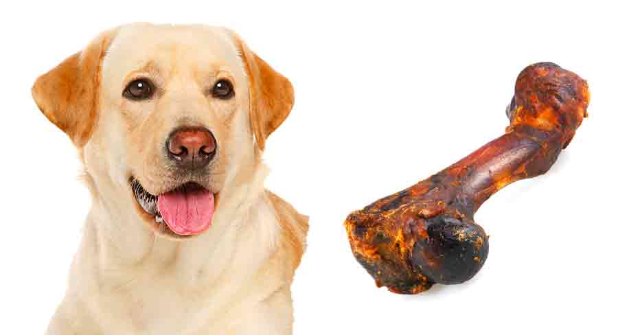 are raw bones good for dogs