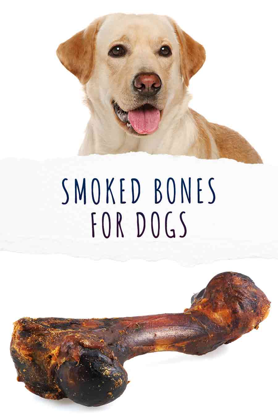 are smoked beef bones safe for dogs
