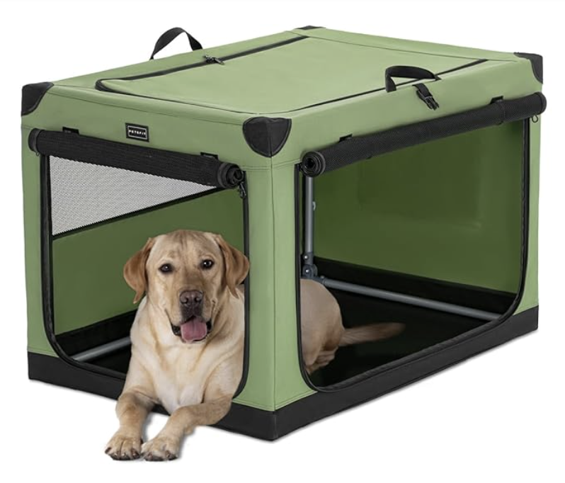 yellow lab in soft crate
