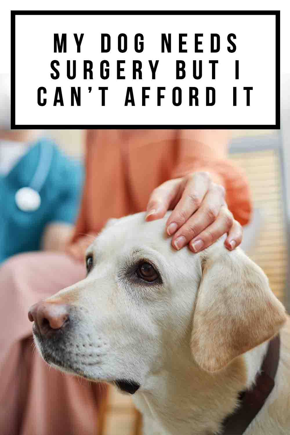 My Dog Needs Surgery And I Can't Afford It