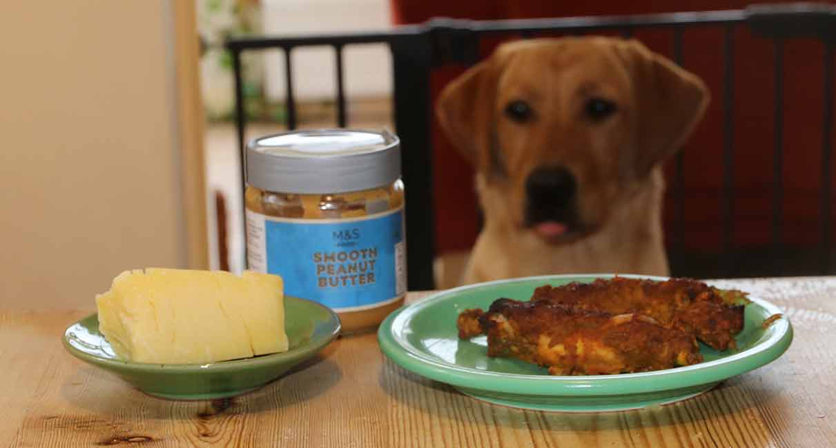 22 people foods you shouldn't give your dog