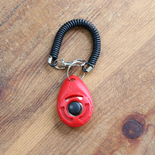 photo of a red clicker on a wooden table