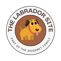 The Labrador Site