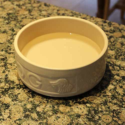 Photo of a Mason Cash ceramic dog bowl on a granite counter top